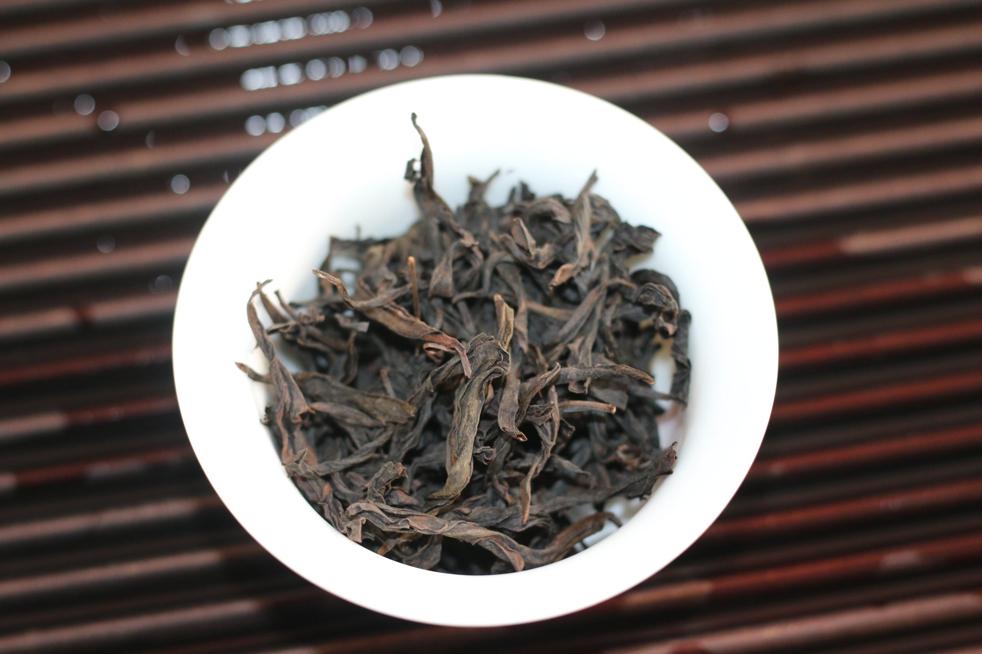 Shui Jin Gui - Water Turtle - 水金龟 (2025)