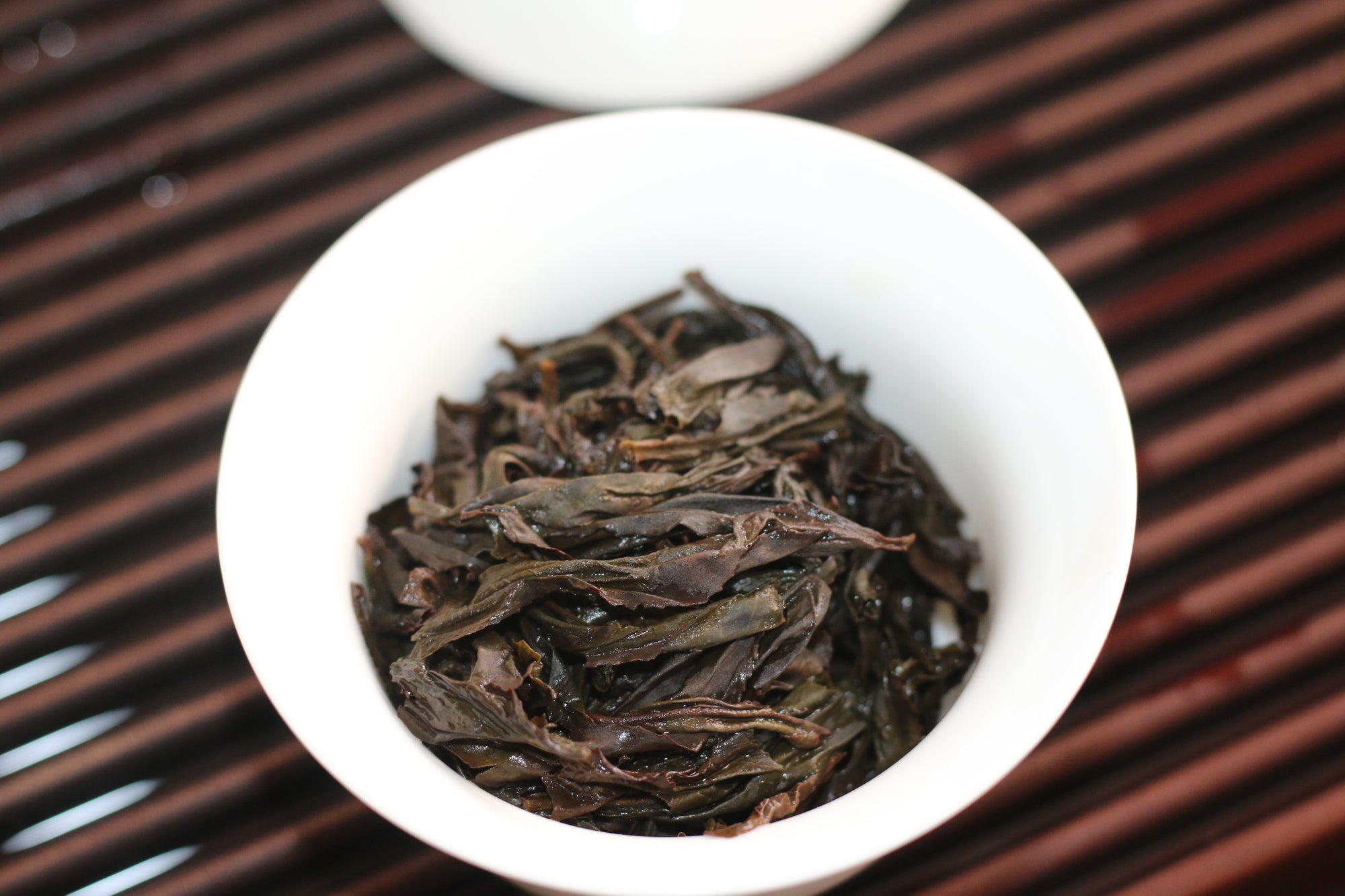 Shui Jin Gui - Water Turtle - 水金龟 (2025)