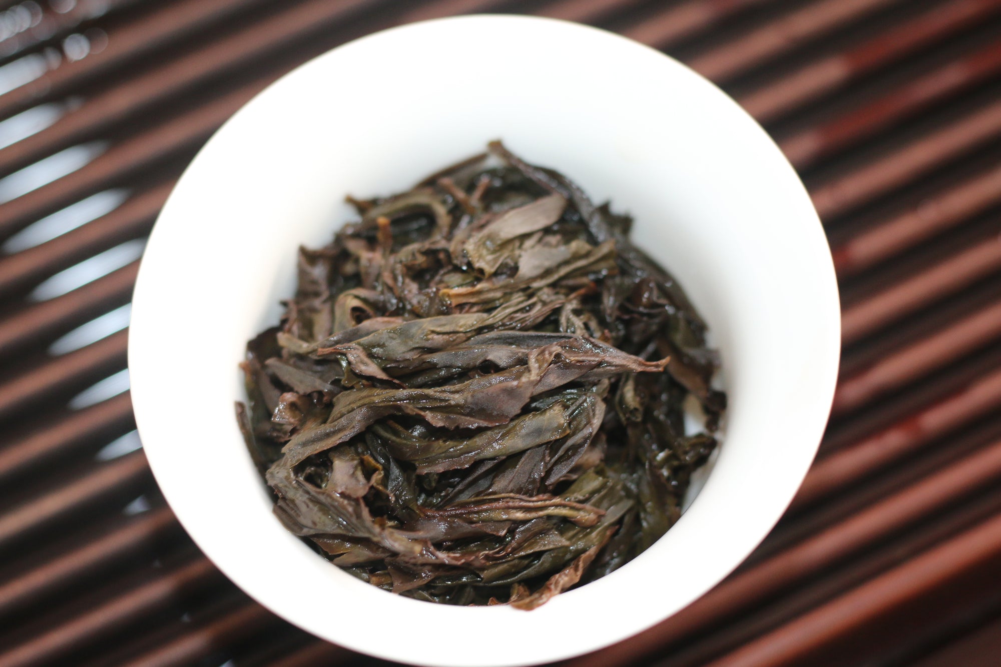 Shui Jin Gui - Water Turtle - 水金龟 (2025)