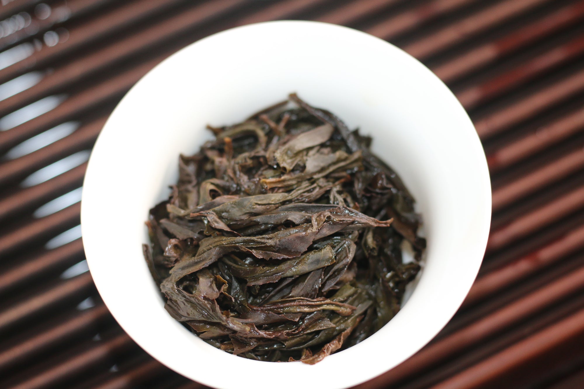 Shui Jin Gui - Water Turtle - 水金龟 (2025)