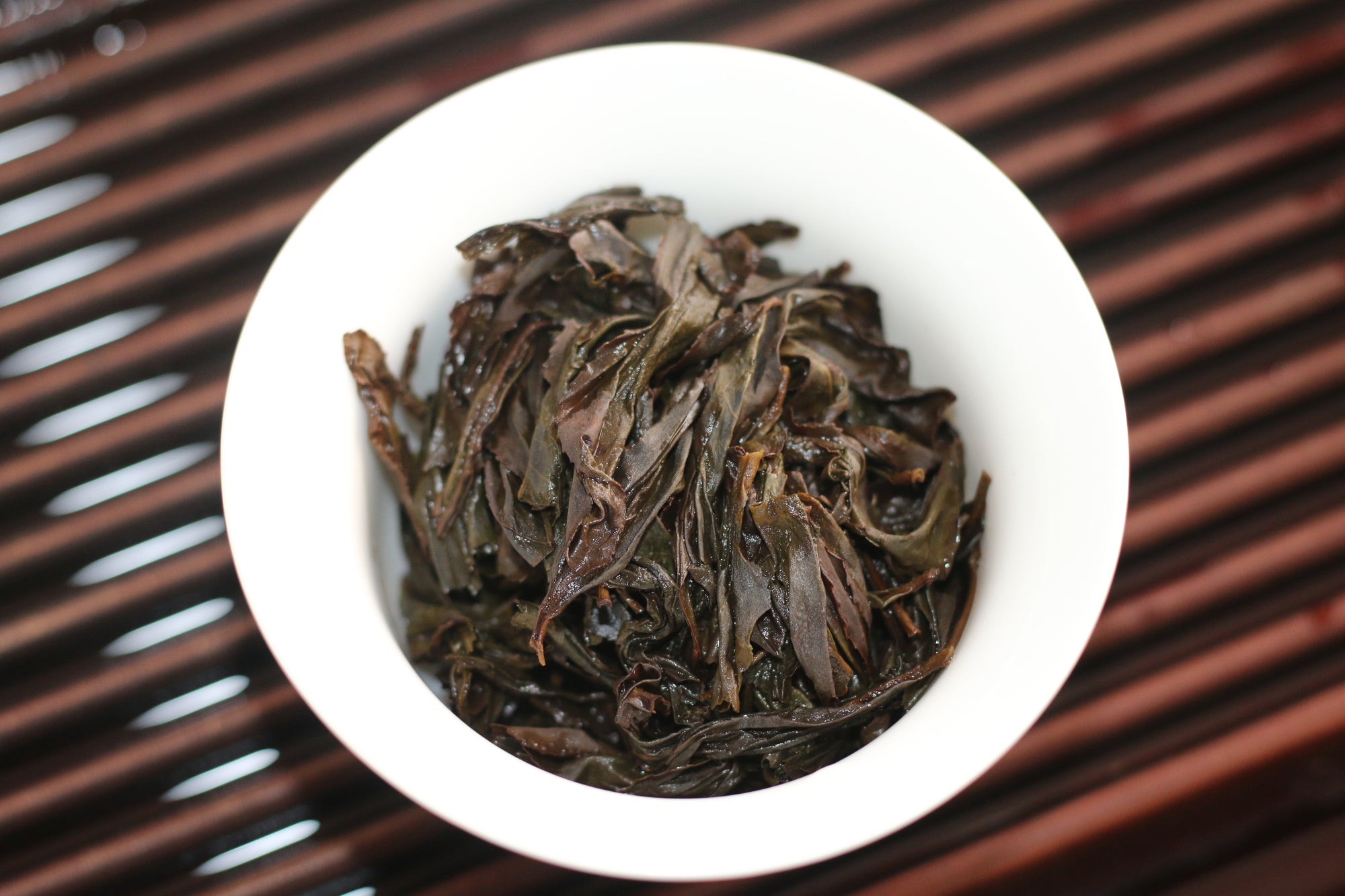 Shui Jin Gui - Water Turtle - 水金龟 (2025)