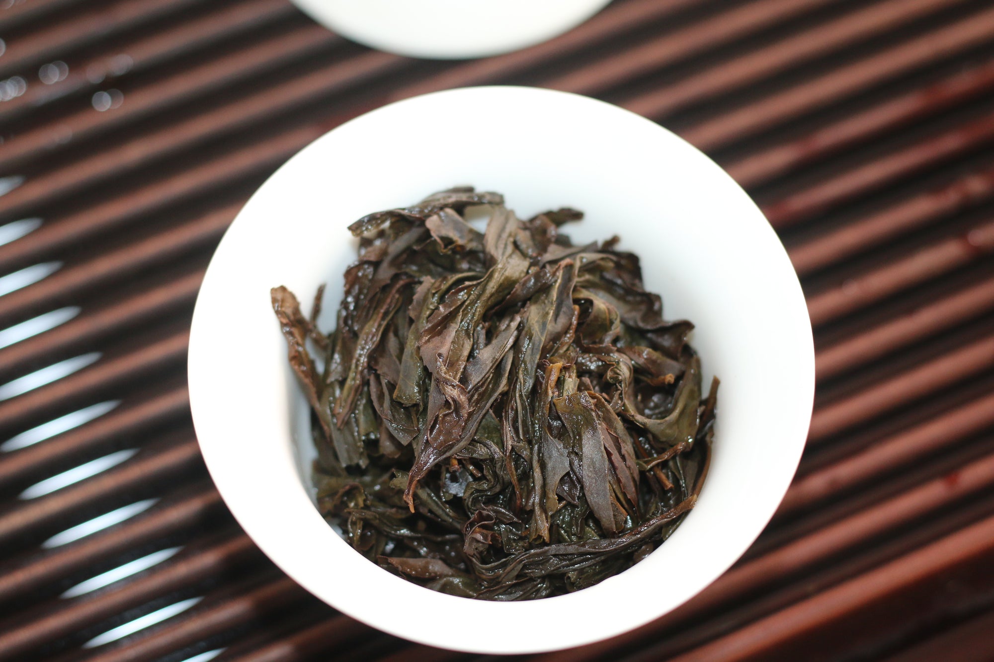 Shui Jin Gui - Water Turtle - 水金龟 (2025)