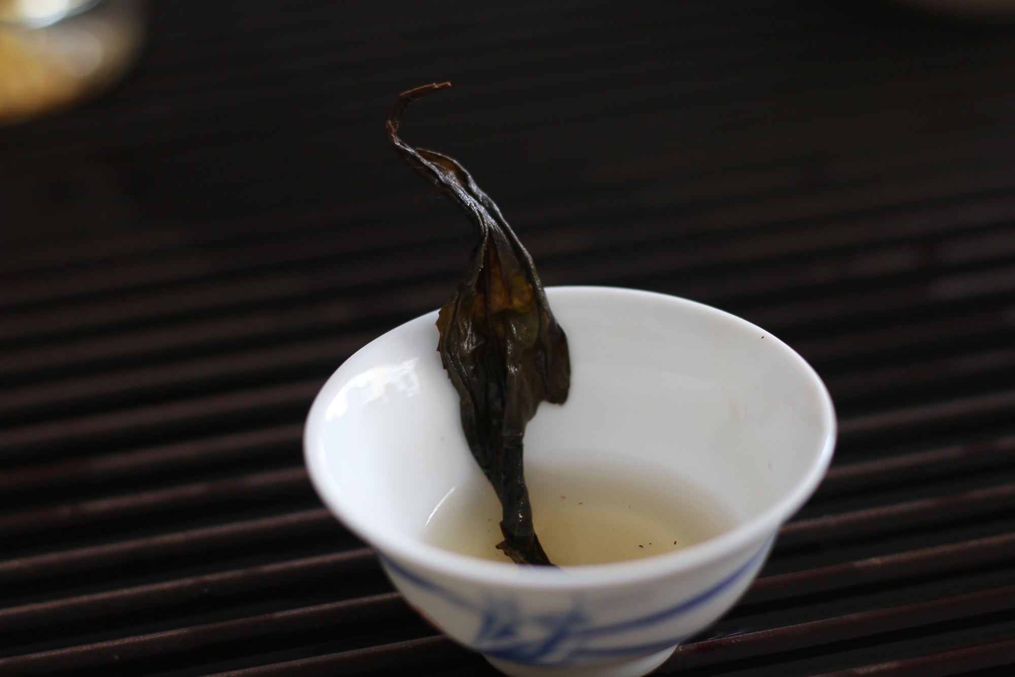 Fo Shou - Buddha's Hand - 佛手 (2025)