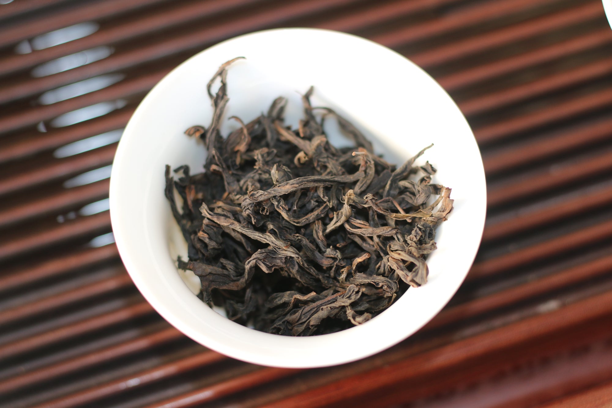 Que She 雀舌 (2025)