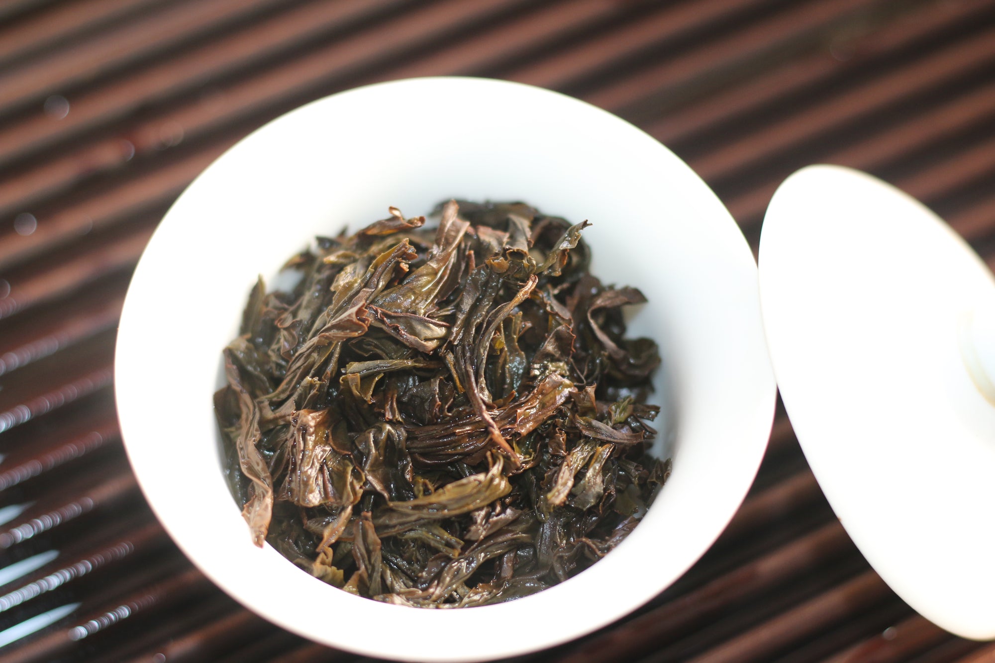 Que She 雀舌 (2025)