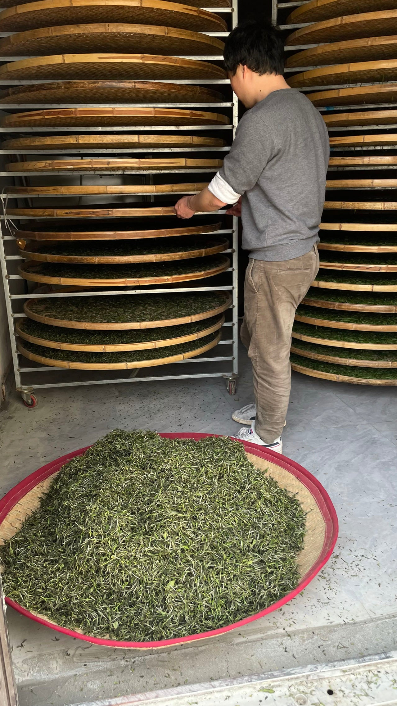 Advanced Bai Mu Dan 高级白牡丹 (2023)