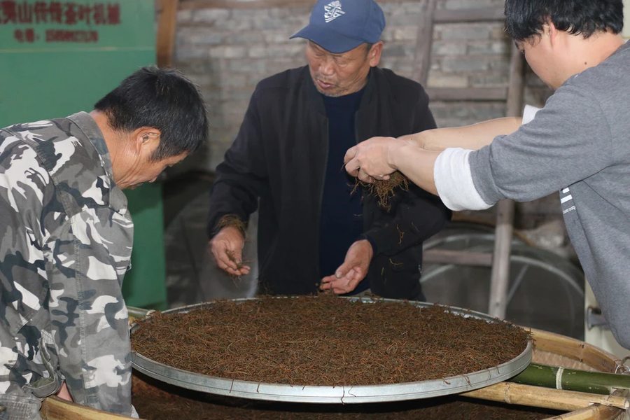 Lapsang Souchong (Floral Style ) 花香小种 2024