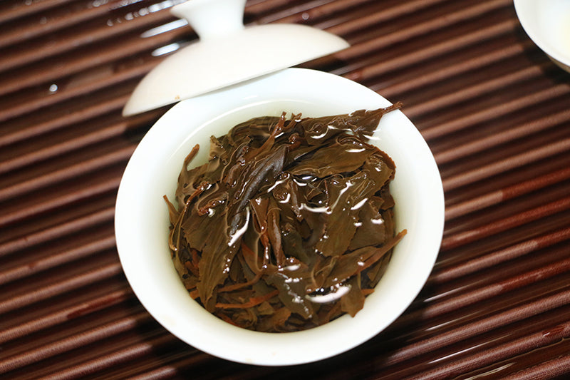 Old Bush LapsangSouchong 老枞小种 2023
