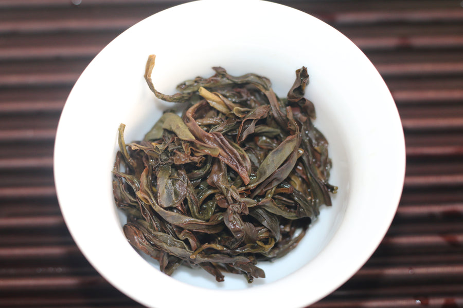 Lei Kou Chai 雷扣柴 2024