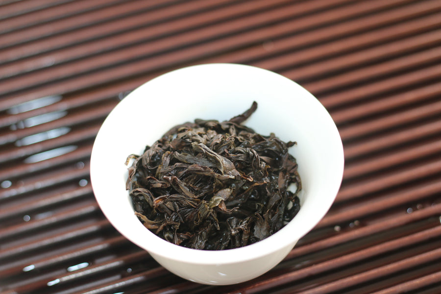 Shui Jingui  (Water Turtle） 水金龟2024