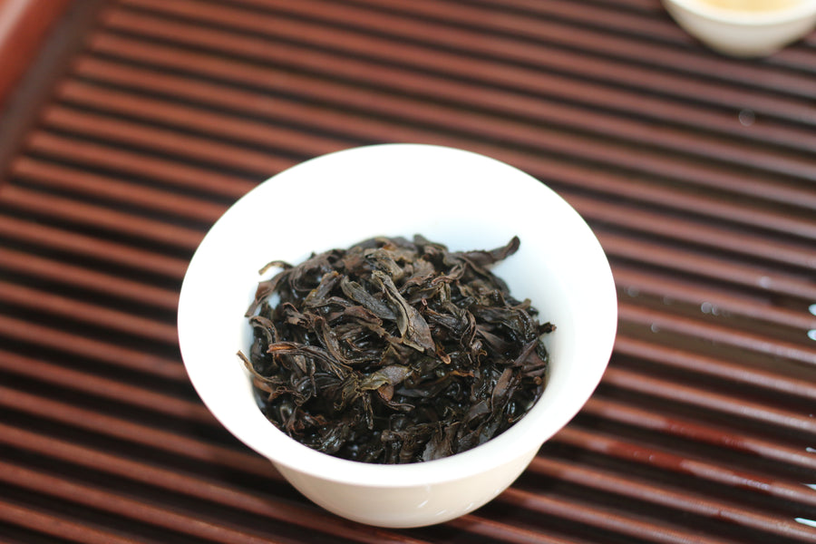 Shui Jingui  (Water Turtle） 水金龟2024
