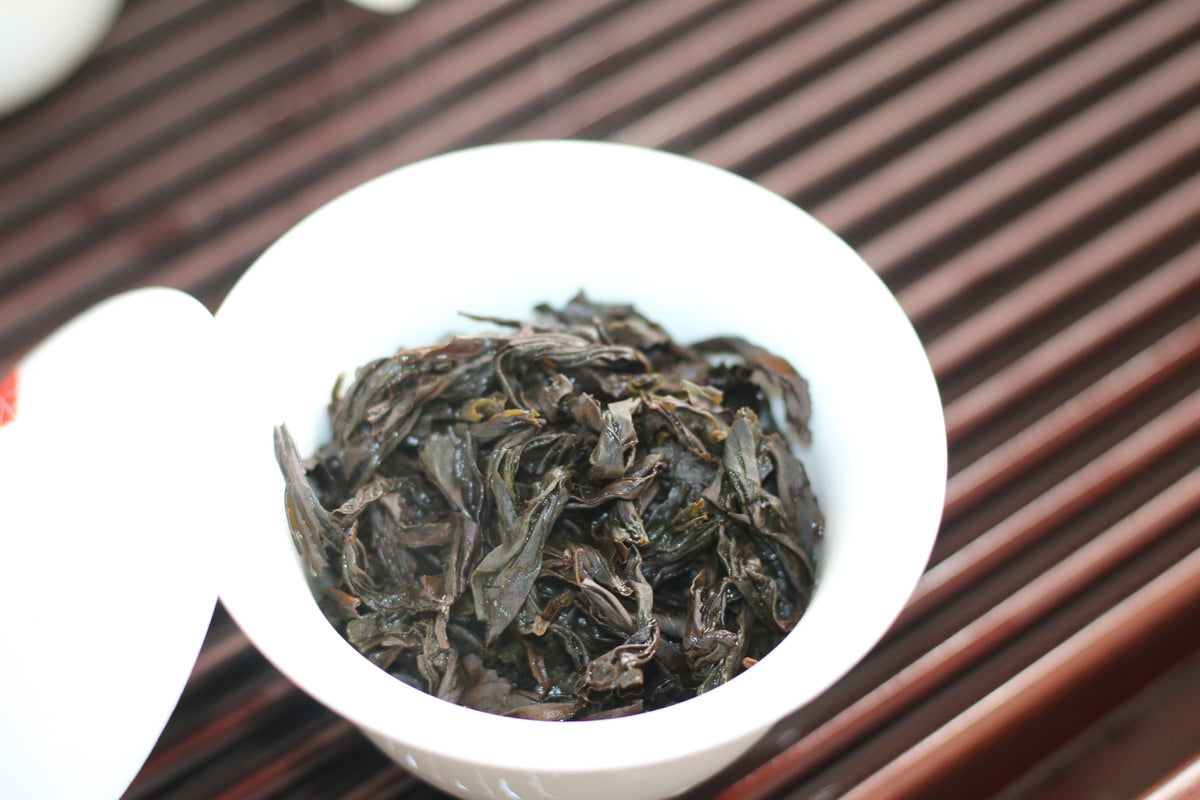 Shui Jin Gui (Water Turtle) 水金龟 - 2024