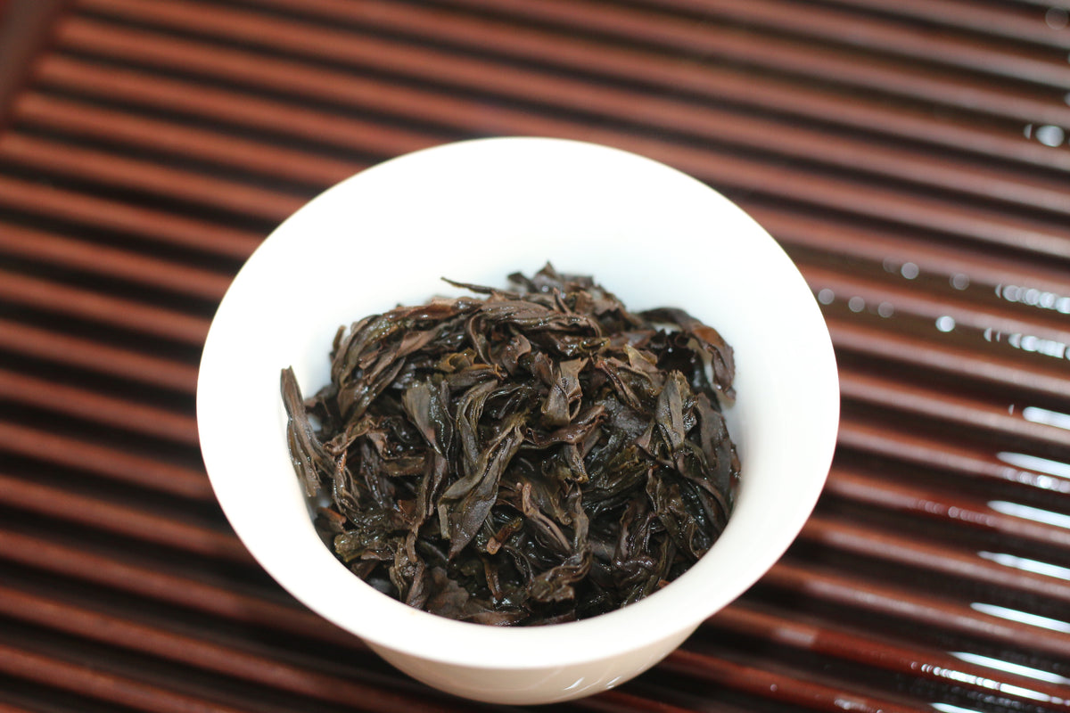 Shui Jin Gui (Water Turtle) 水金龟 - 2024