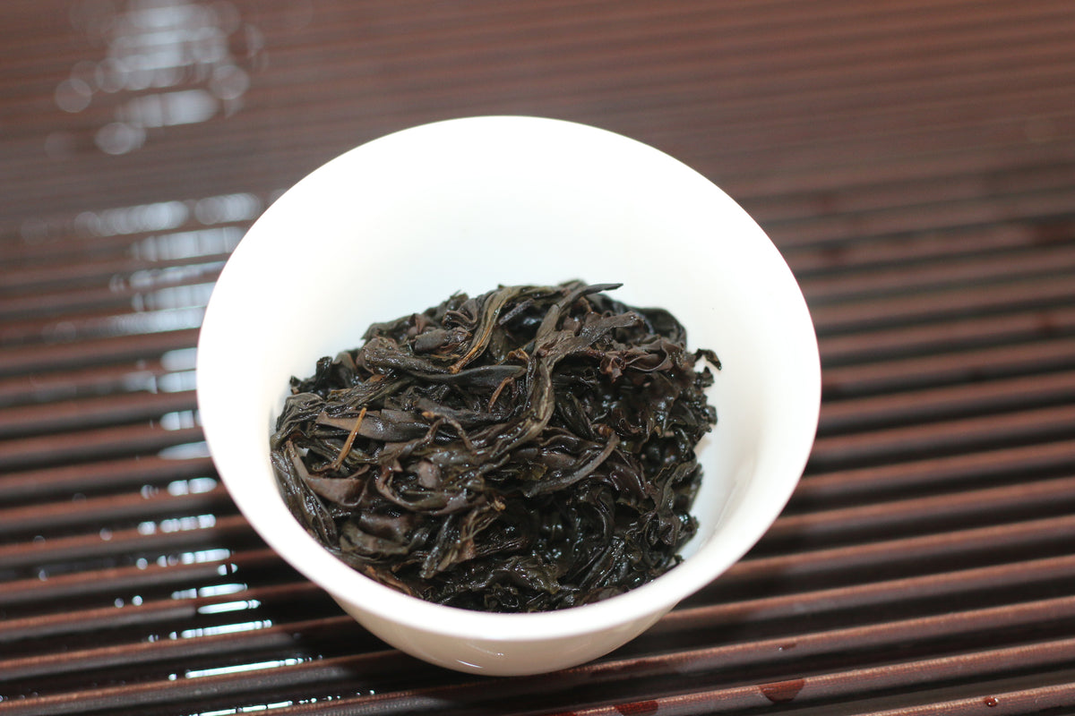 Qi Lan 奇兰2024