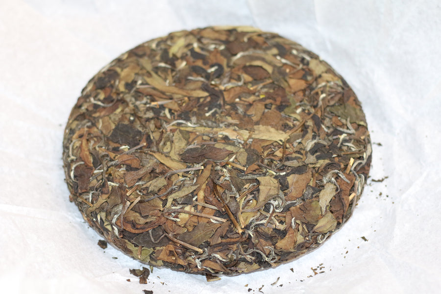 2021  Tong Mu  White Tea  桐木白茶