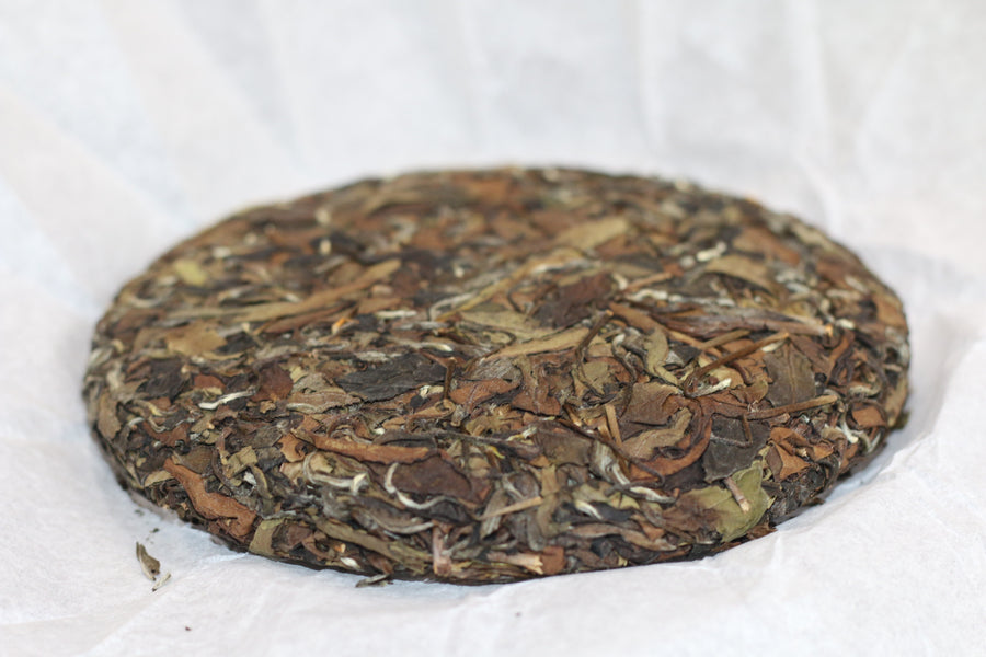 2021  Tong Mu  White Tea  桐木白茶