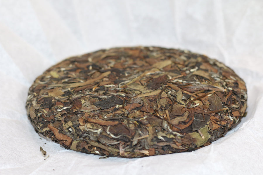 2021  Tong Mu  White Tea  桐木白茶