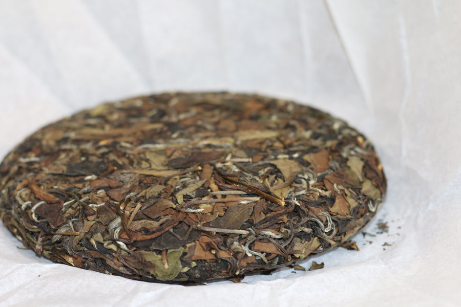 2021  Tong Mu  White Tea  桐木白茶