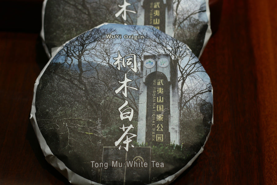 2021  Tong Mu  White Tea  桐木白茶