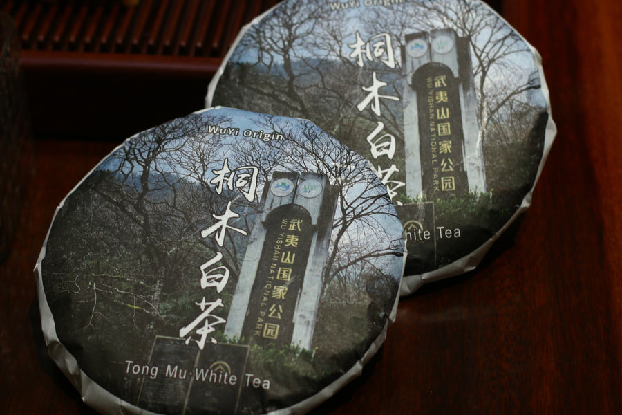 2021  Tong Mu  White Tea  桐木白茶