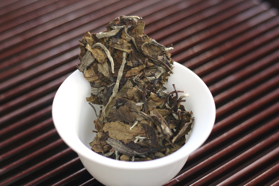 2017 Bai Mu Dan 白牡丹