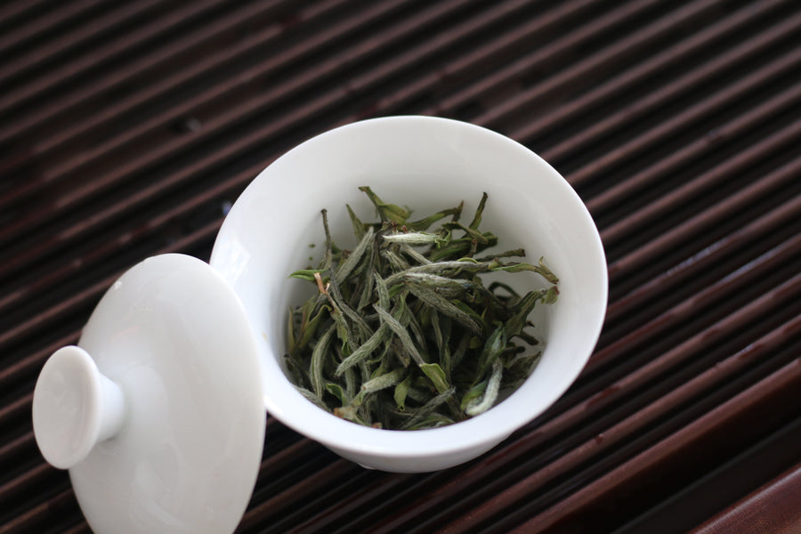 Bai Mu Dan (白牡丹）2025