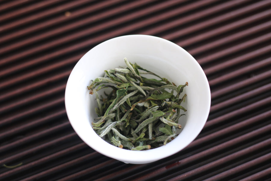 Bai Mu Dan (白牡丹）2025