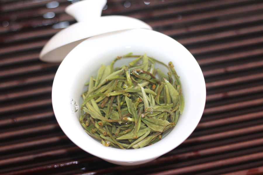 Bai Mu Dan (白牡丹）2025