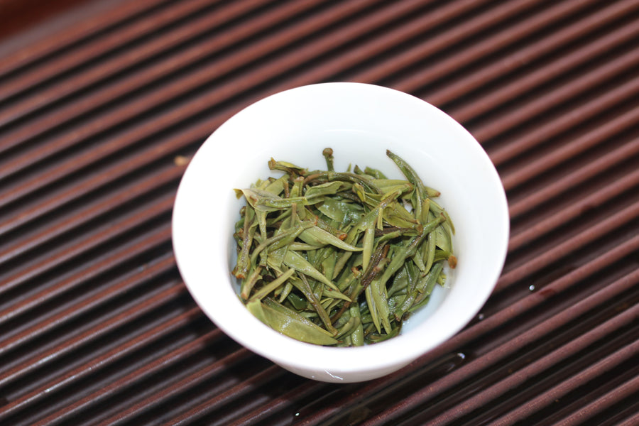 Bai Mu Dan (白牡丹）2025