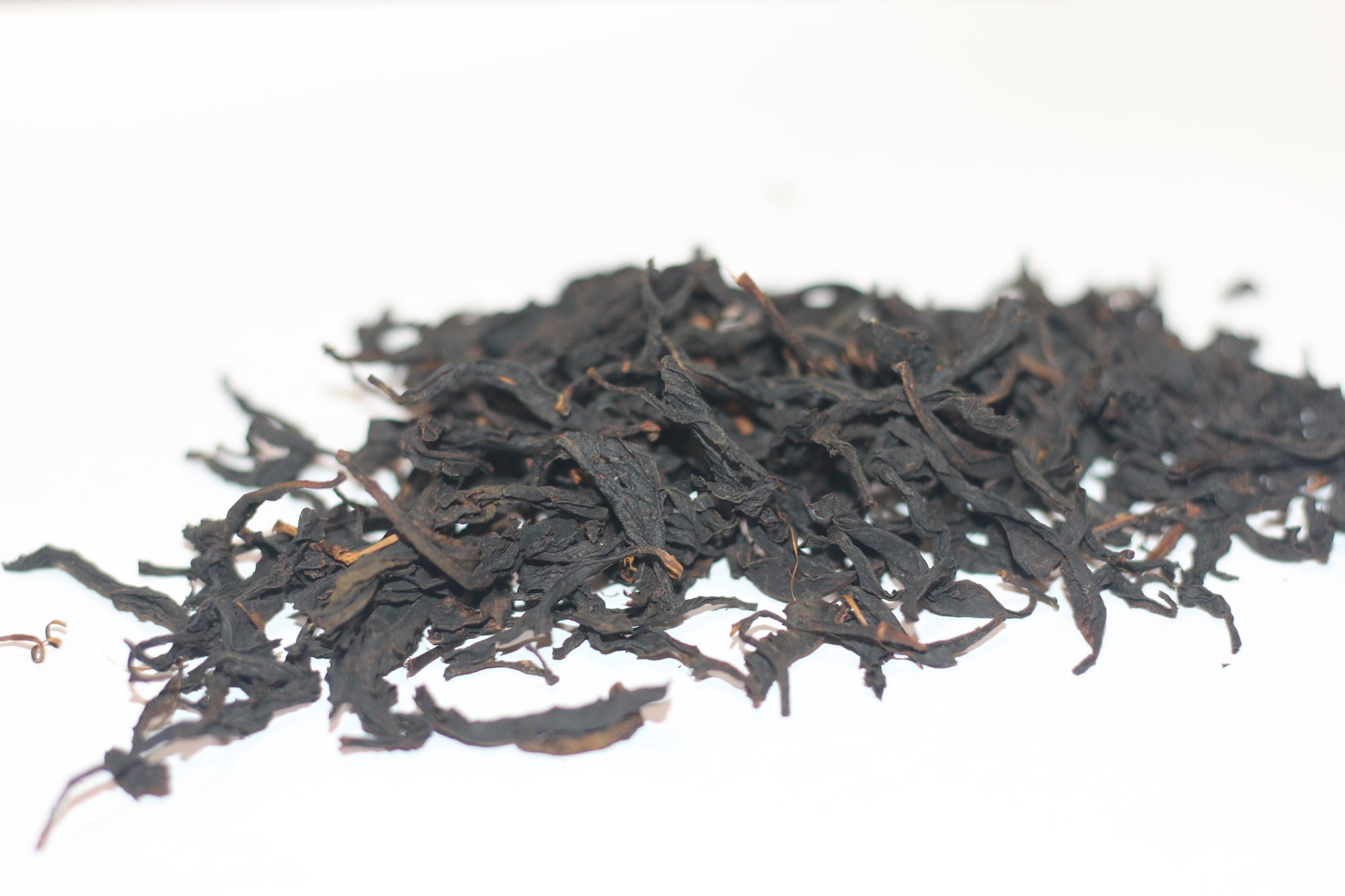 Hundred Years Lapsang Souchong Smoked Style 烟熏百年老枞小种 (2025)