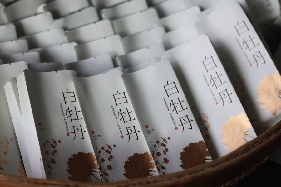 Bai Mu Dan 白牡丹 White Tea Mini Cake (2023)