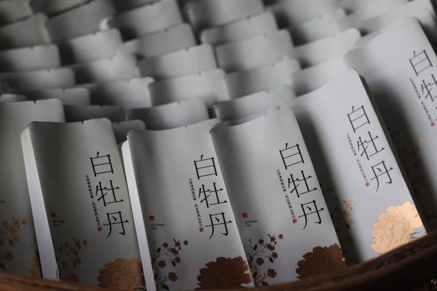 Bai Mu Dan 白牡丹 White Tea Mini Cake (2023)