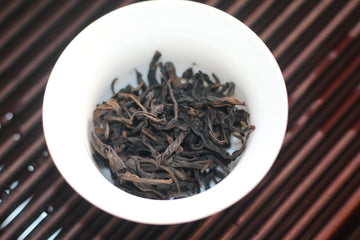 Qi Lan 奇兰 (2025)