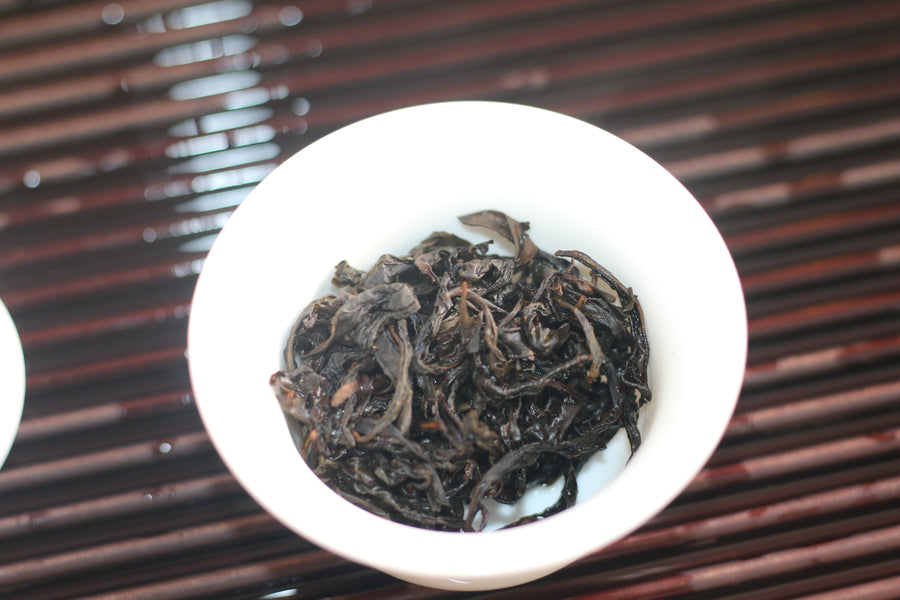 Qi Lan 奇兰 (2025)