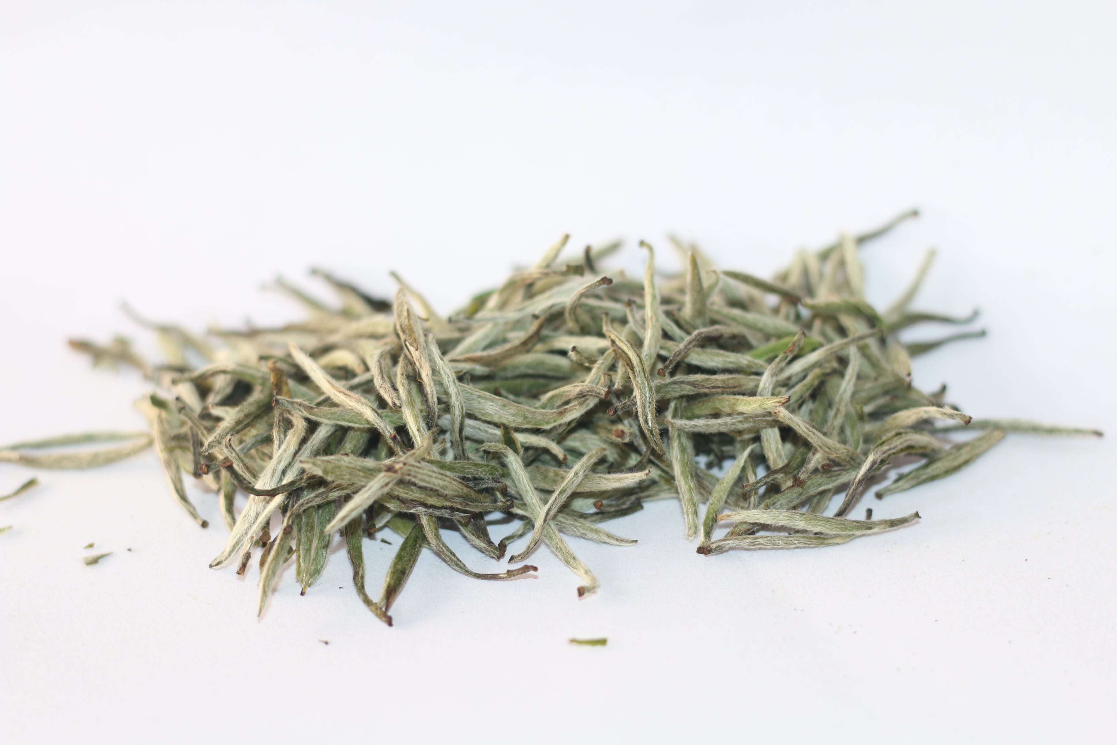 Silver Needle 白毫银针 (2026) – Wuyi Origin