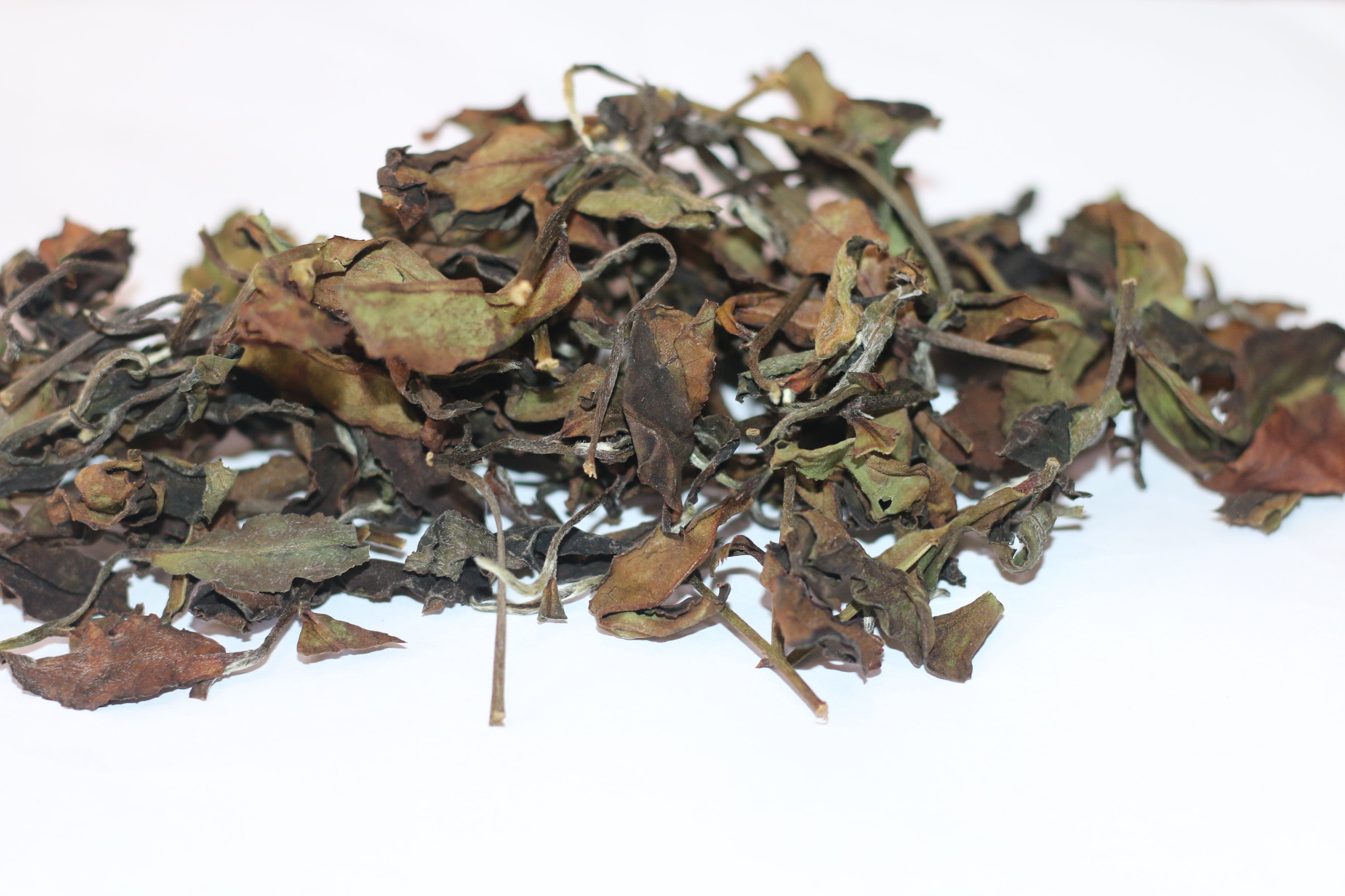 Tong Mu White Tea 桐木白茶（2025） – Wuyi Origin