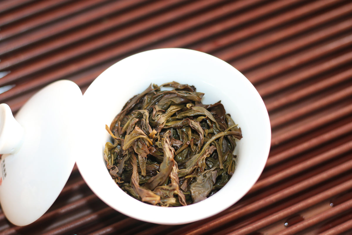 Lei Kou Chai 雷扣柴 2023