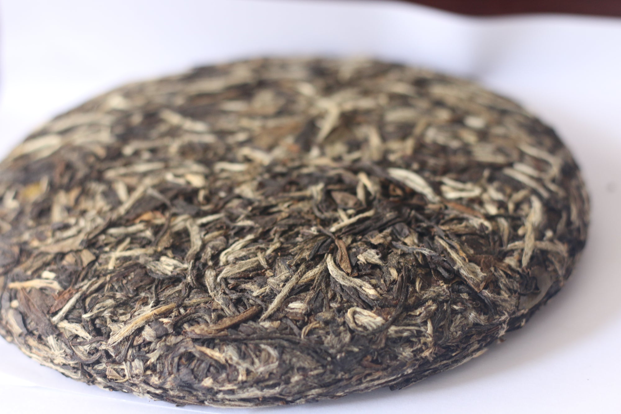 Bai Mu Dan 白牡丹2015