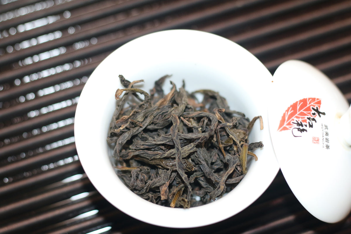 2026 First Prize  Shui Xian （一等奖水仙）
