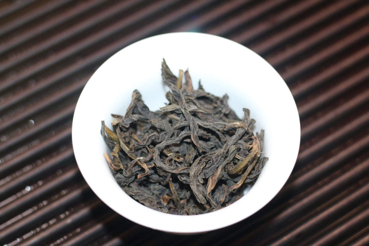 2026 First Prize  Shui Xian （一等奖水仙）
