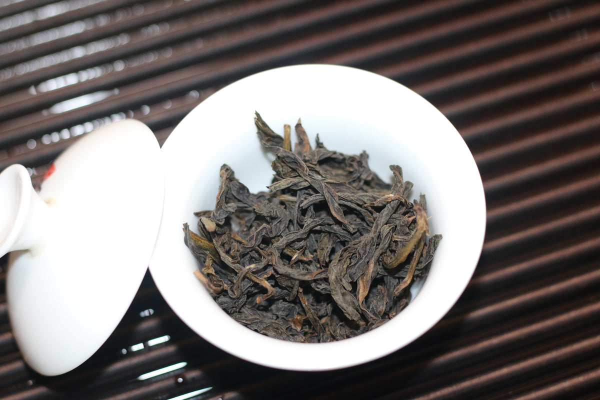 2026 First Prize  Shui Xian （一等奖水仙）