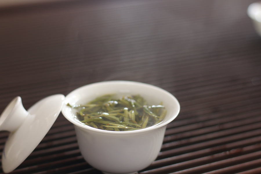 Silver Needle (白毫银针）2024