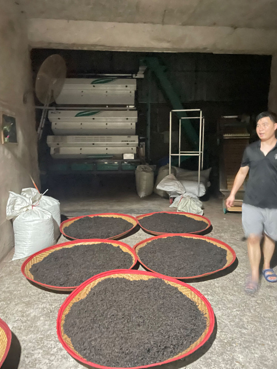 Da Hong Pao Blended 拼配大红袍 2024