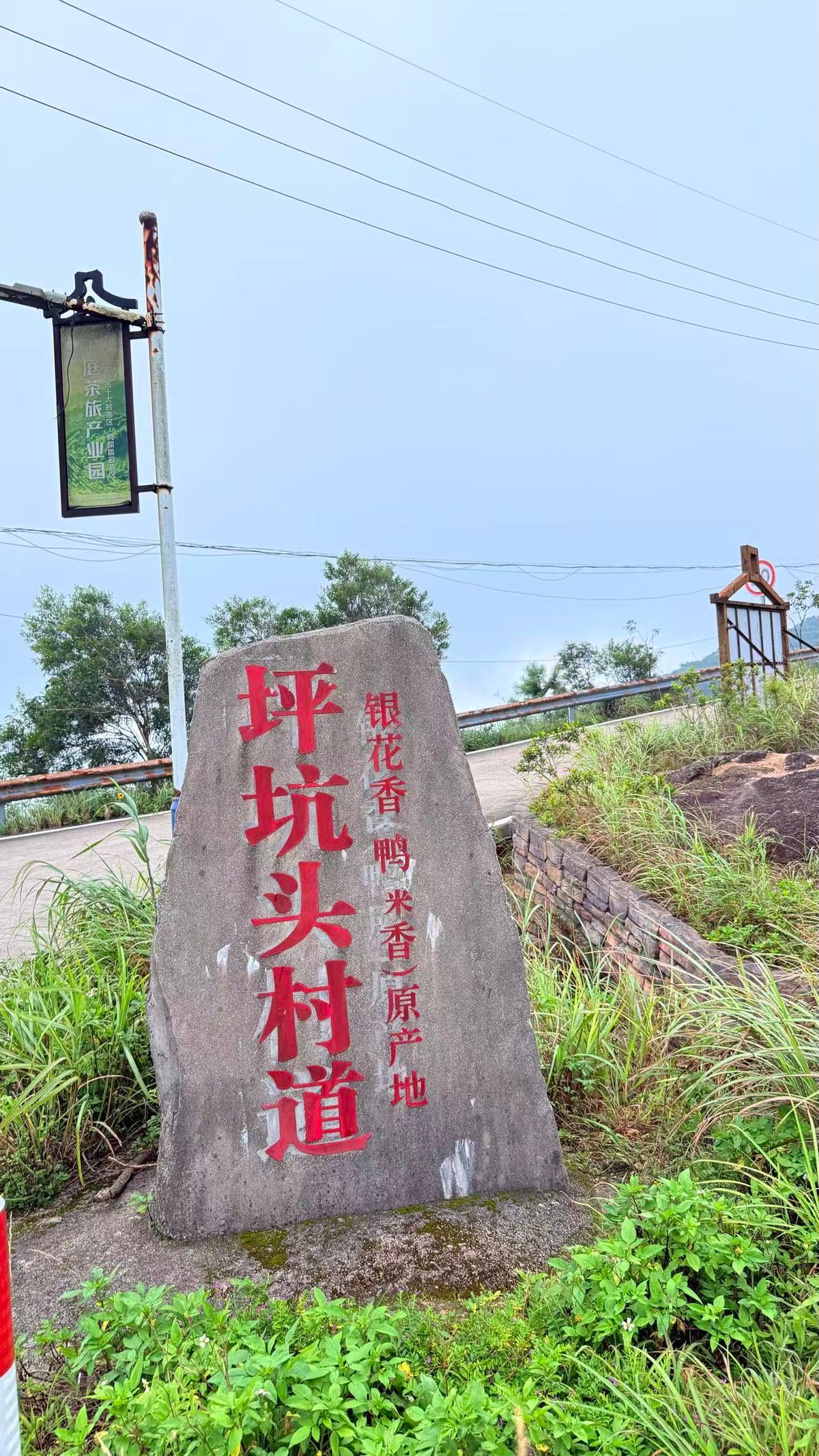 2026 Old  Bush Ya Shixiang  老枞鸭屎香
