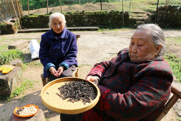 Lao Cong Shui Xian 2013 老枞水仙