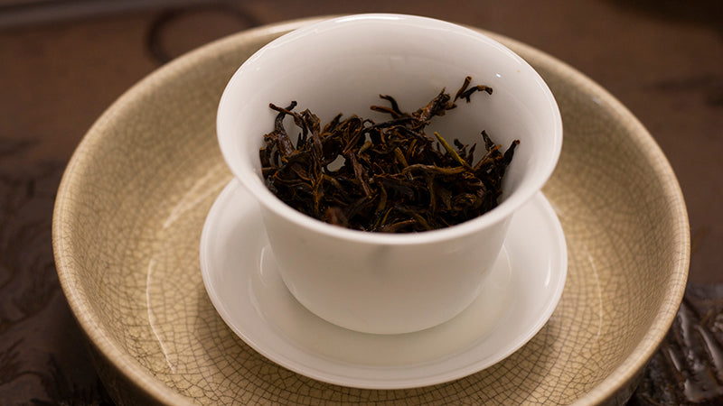 Jin Jun Mei (Mei Zhan Cultivar ) 梅占金骏眉2022