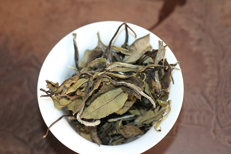 Shou Mei 2016