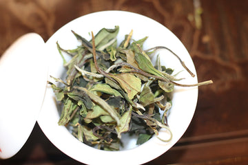Shuixian white tea 水仙白 2021