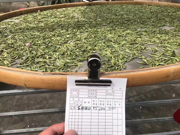 Silver Needle (白毫银针）2022