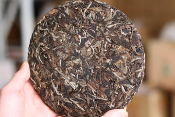 Advanced Bai mu dan 2013